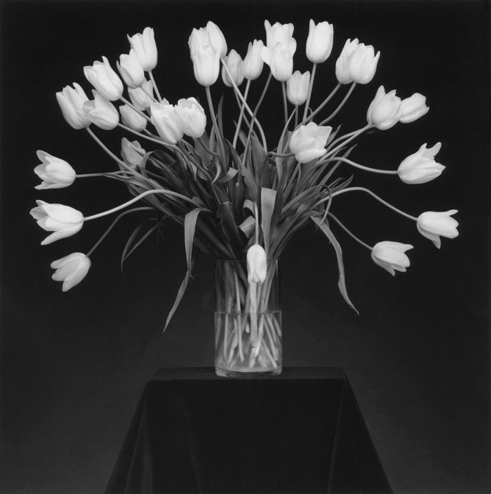 Robert Mapplethorpe artwork