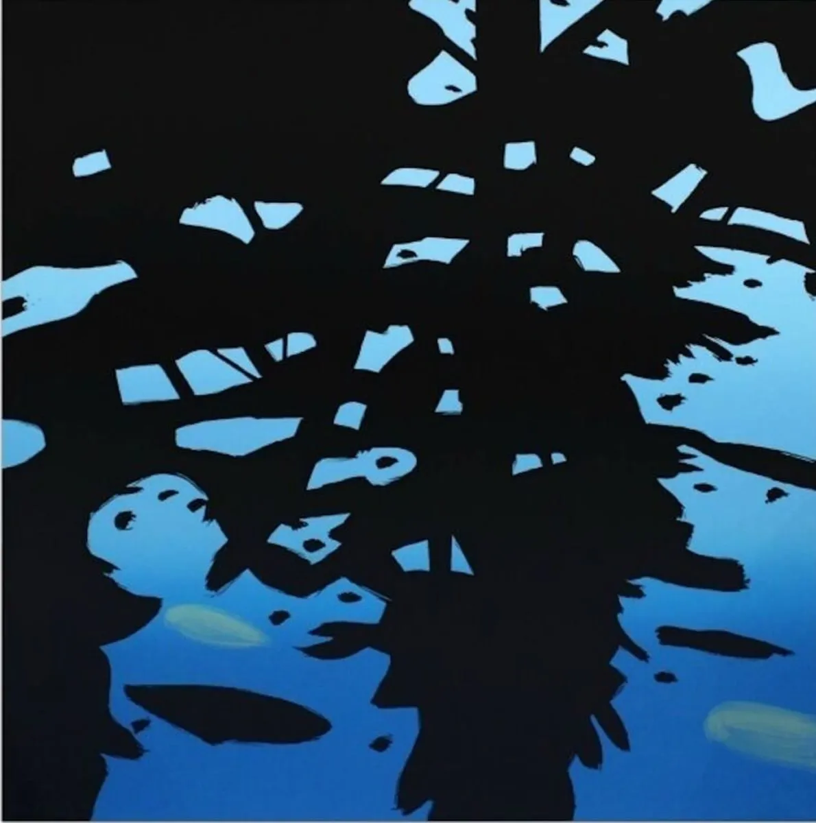 Reflection