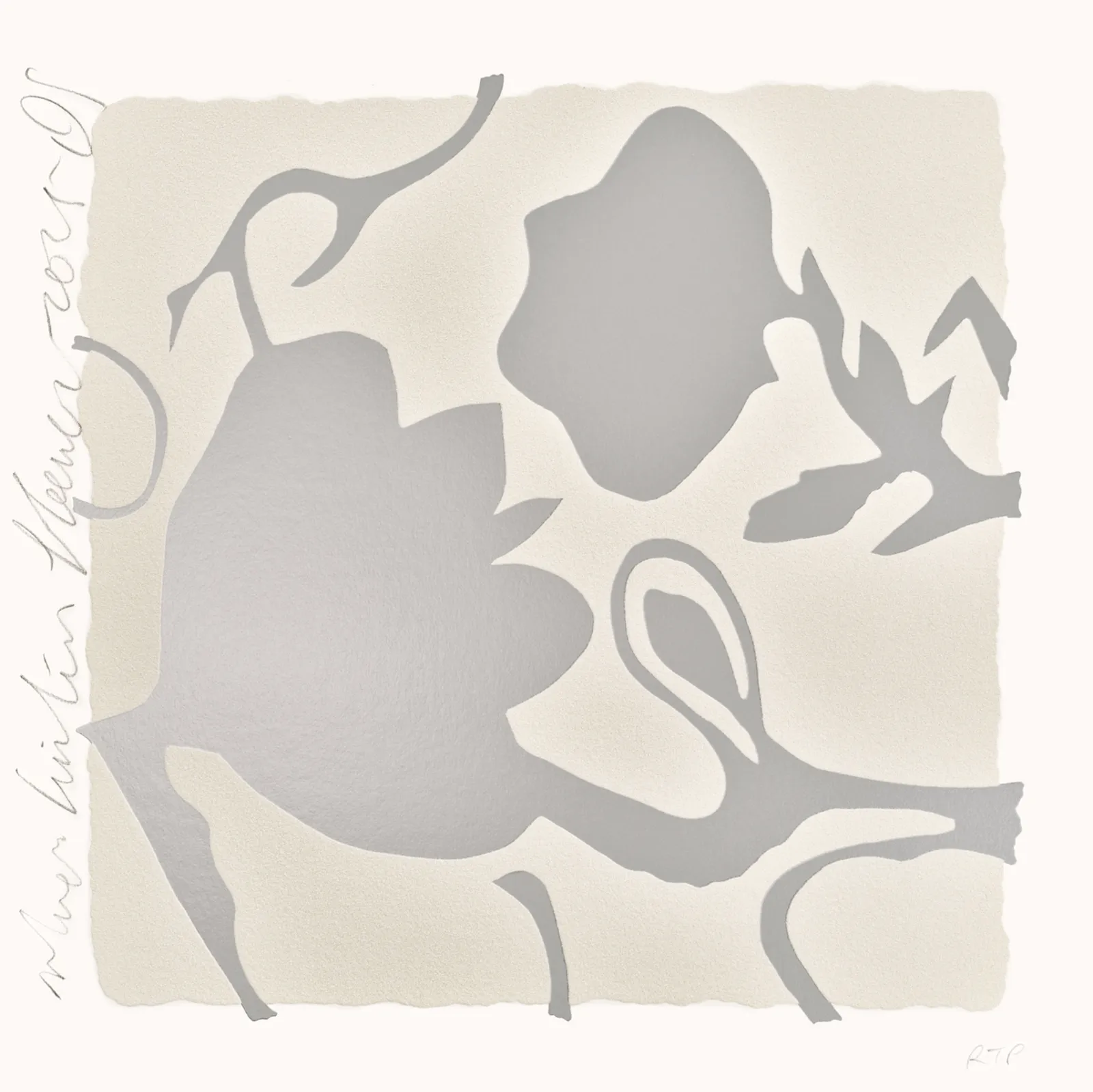 Donald Sultan — Silver Lantern Flowers