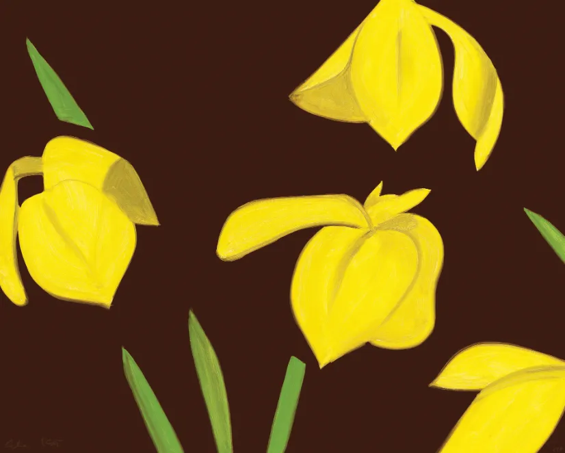 Yellow Flags on Brown