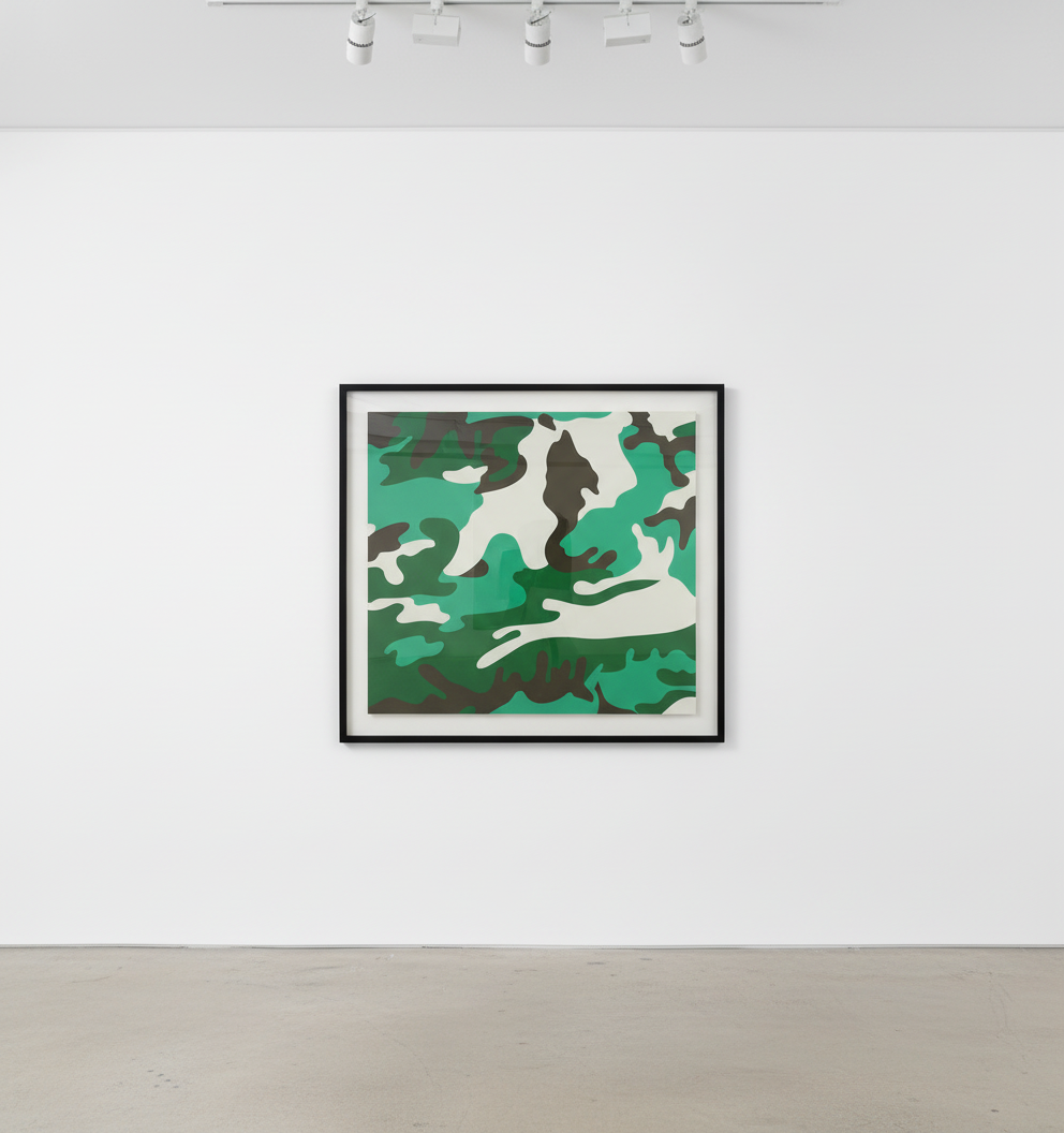 Camouflage F.S. II 406