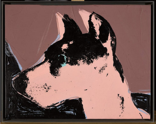 Andy Warhol - Cats and Dogs , Cecil, 1976, Synthetic polymer paint and silkscreen ink on canvas