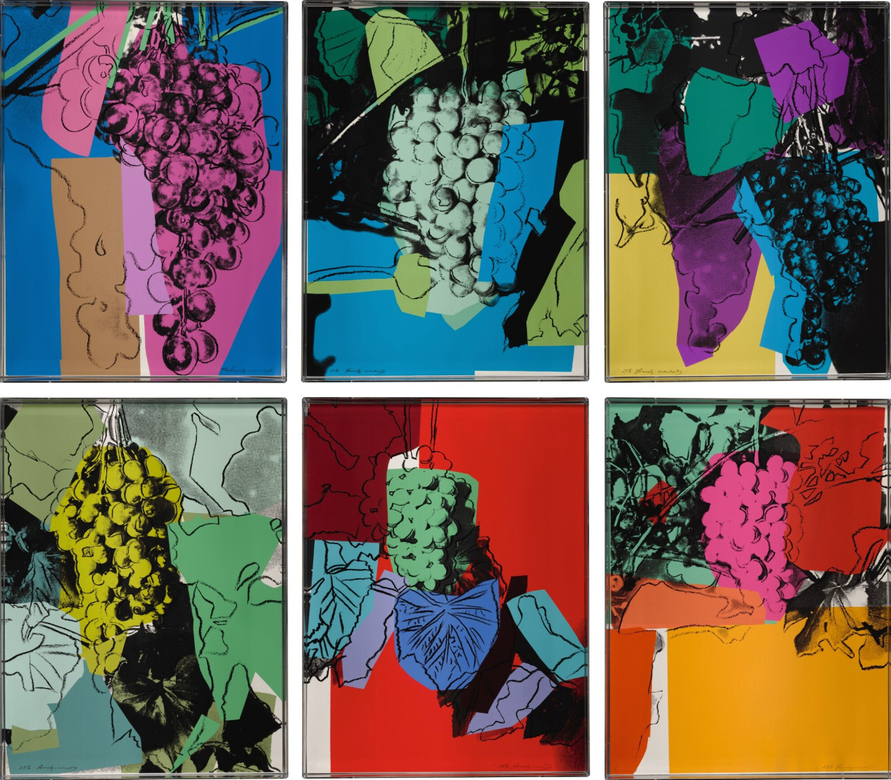Grapes F.S. II 190-195 (Complete Portfolio)