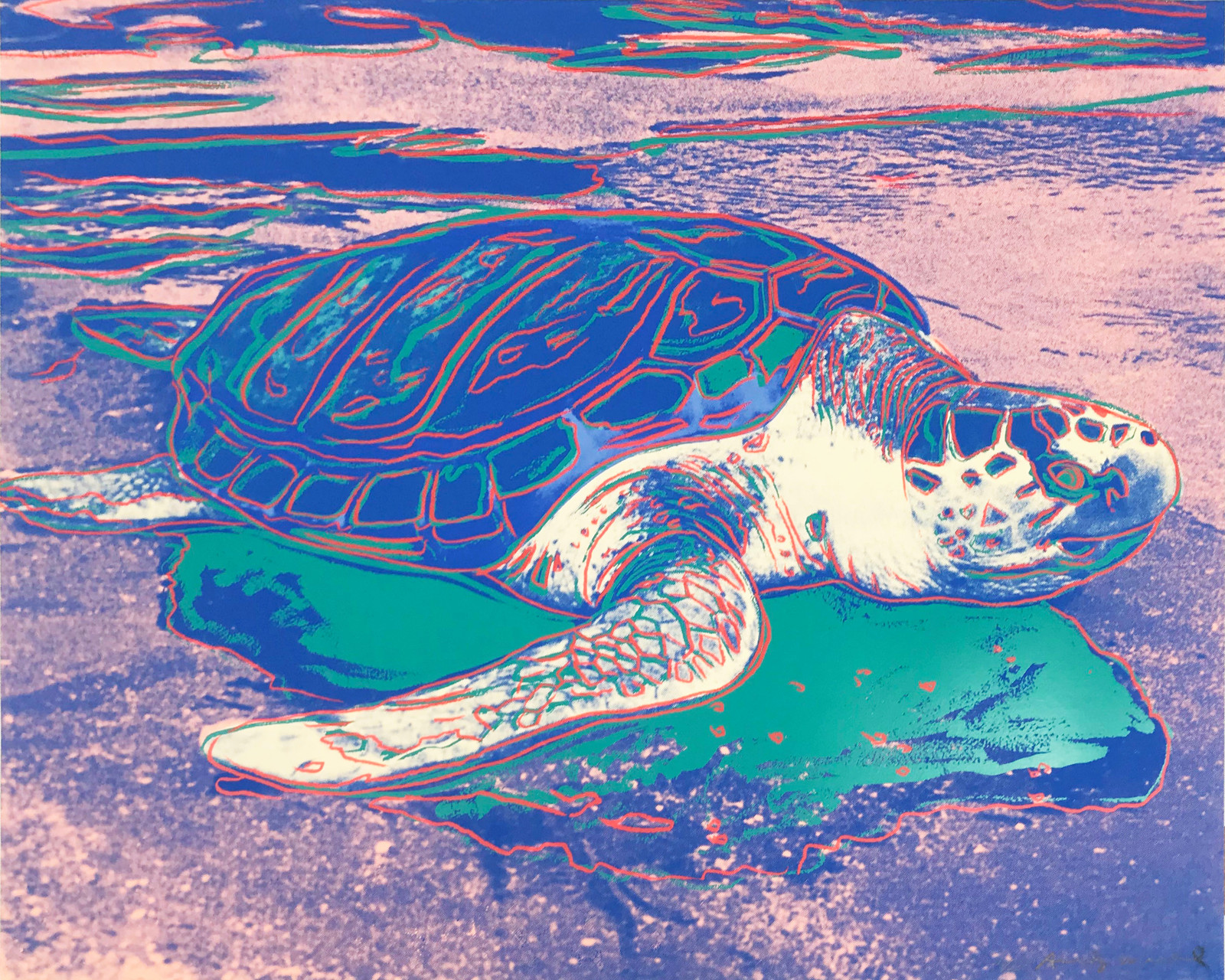 Turtle F.S. II 360A