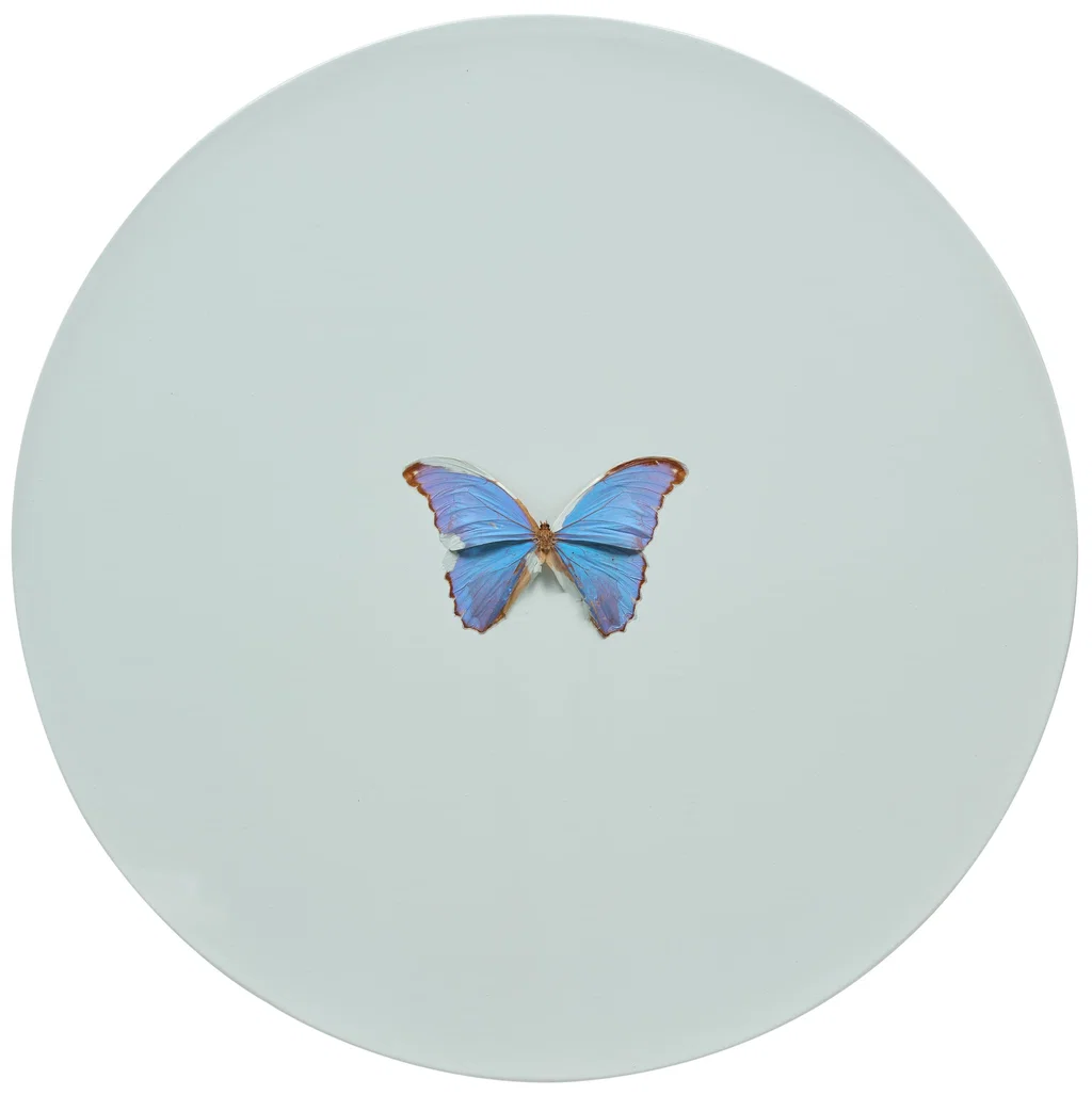 Damien Hirst, Capricorn, Butterfly and household gloss on canvas