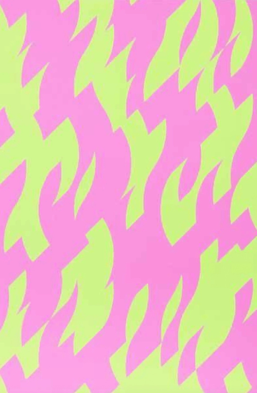 Bridget Riley