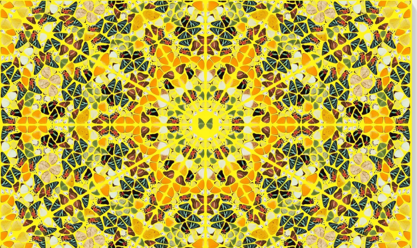 H18 Kaleidoscopes