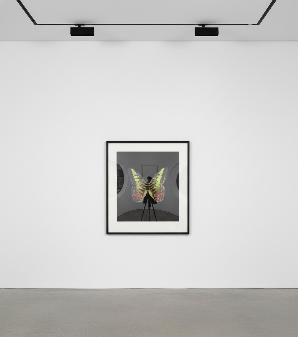 Damien Hirst: Butterflies