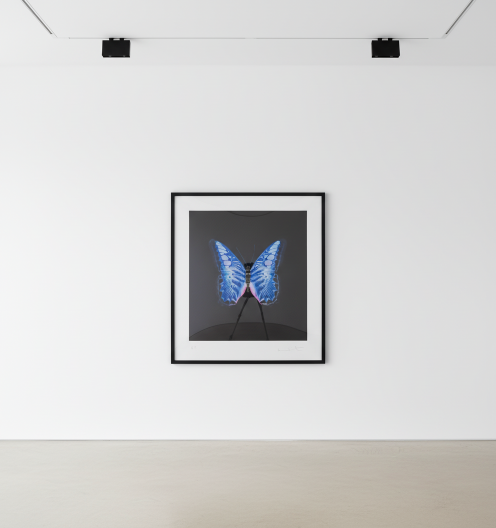 The Souls on Jacob's Ladder