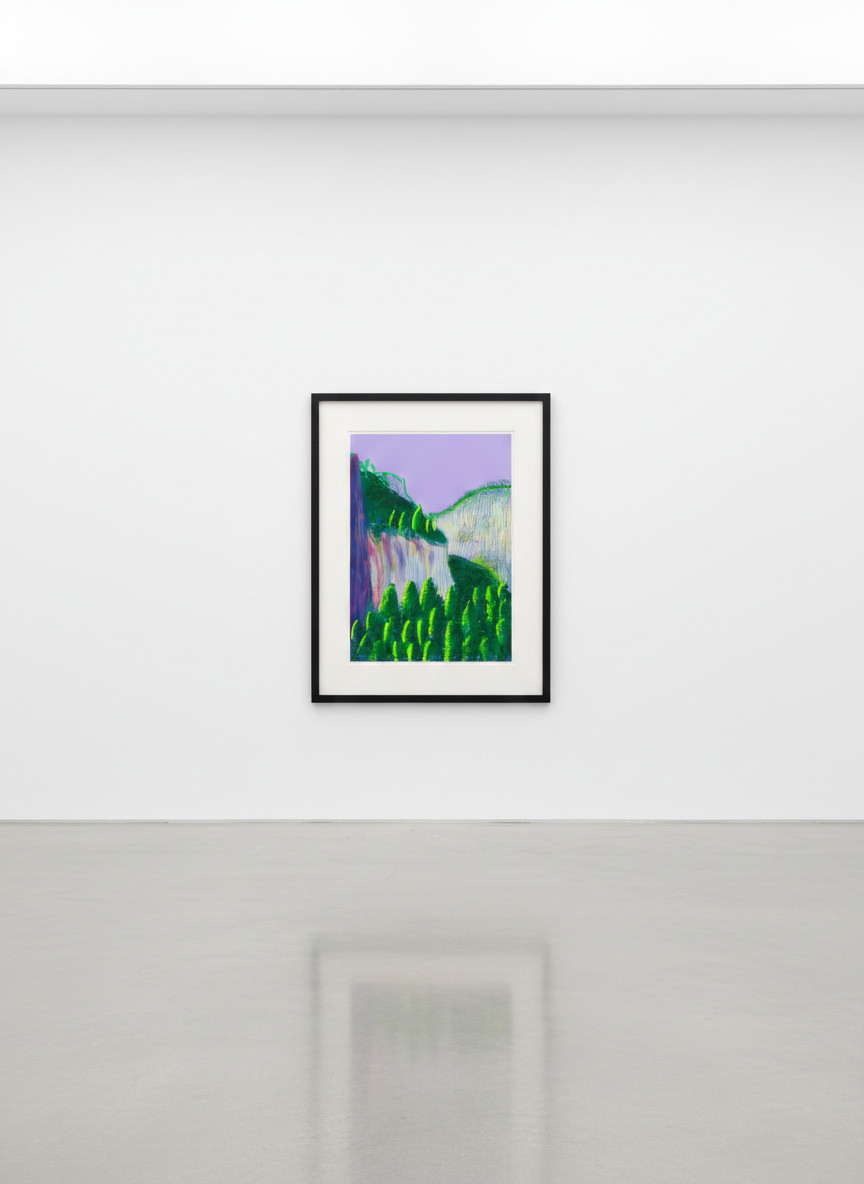 The Yosemite Suite No. 11