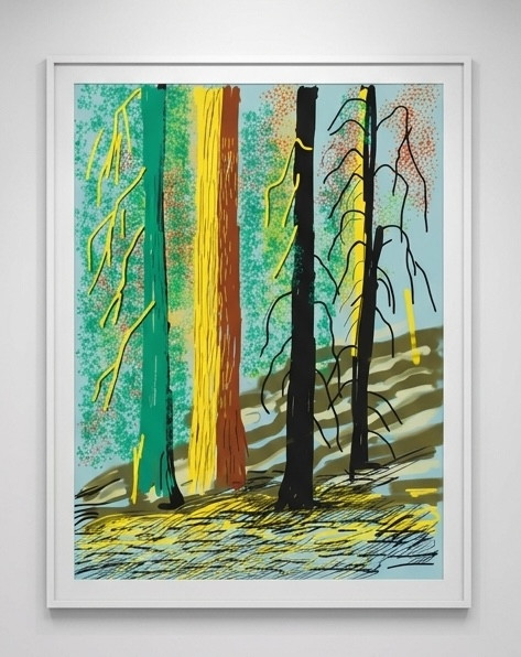 The Yosemite Suite No. 7