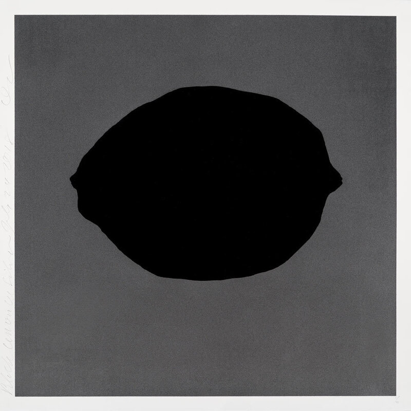 Lemons — Donald Sultan | Guy Hepner