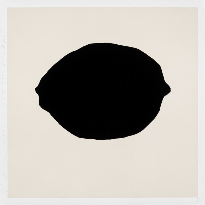 Black Lemon on White — Donald Sultan