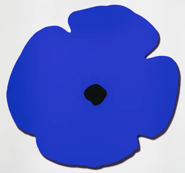 Blue Wall Poppy