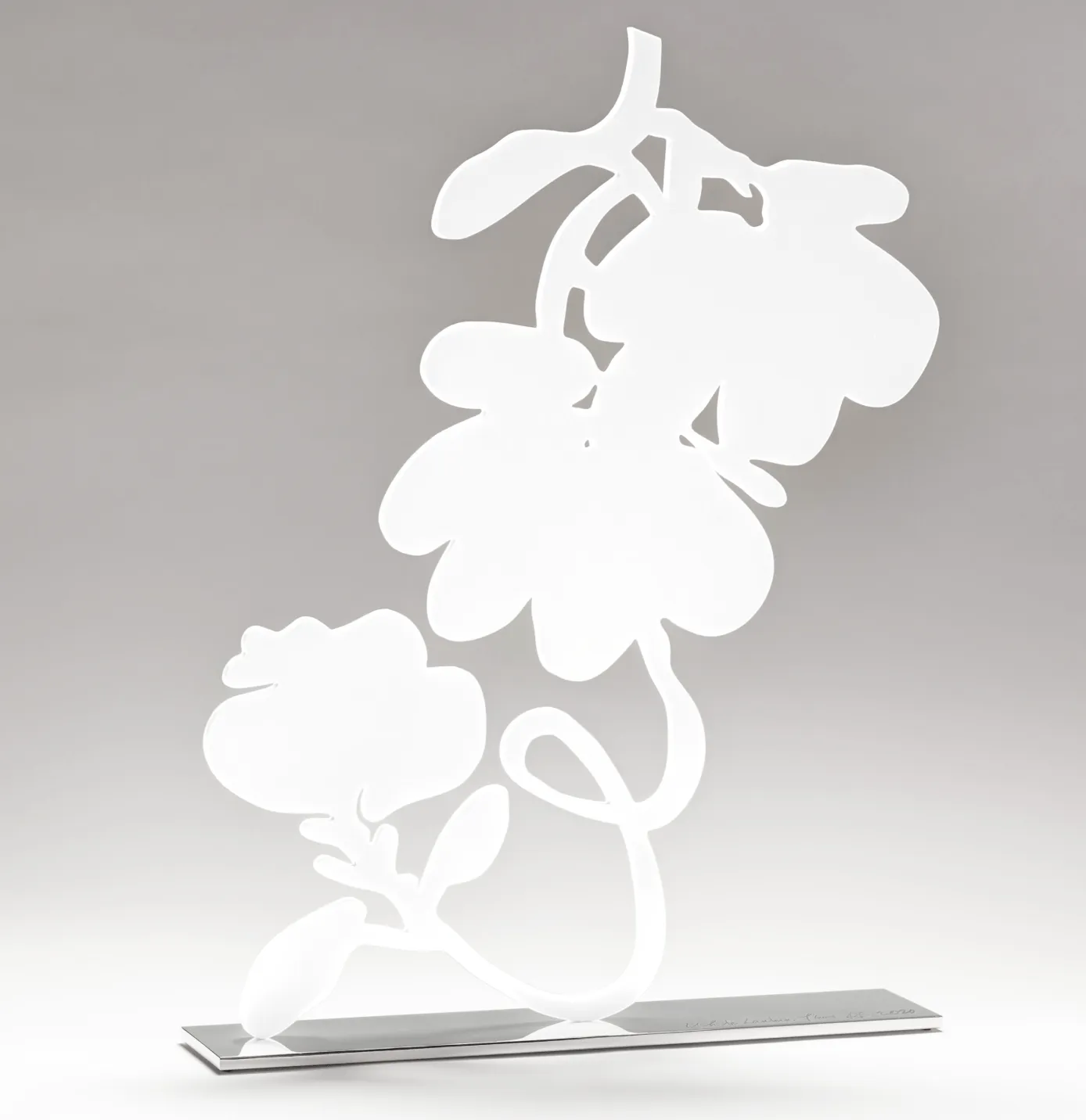 White Lantern Flowers