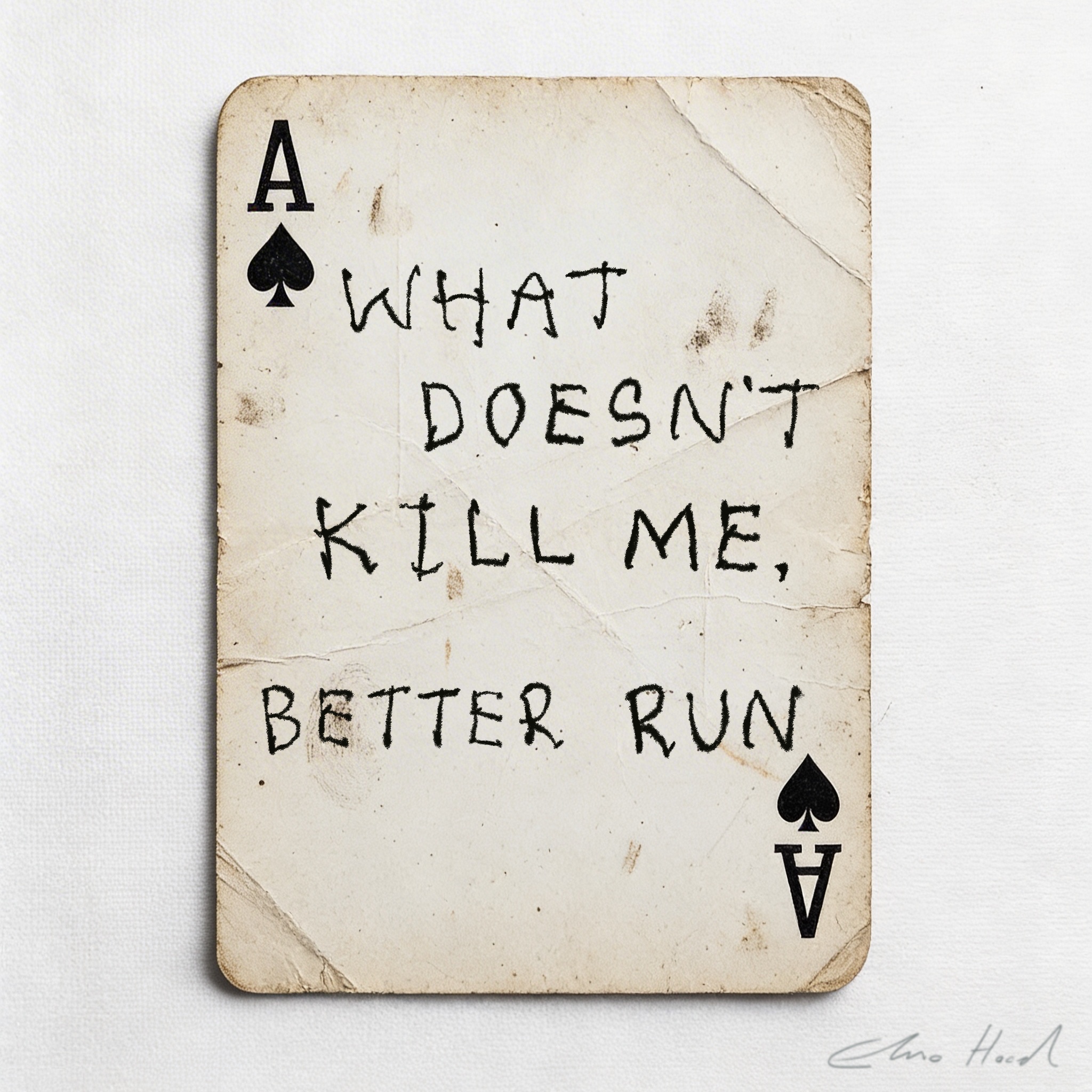 What Doesn't Kill Me Better Run
