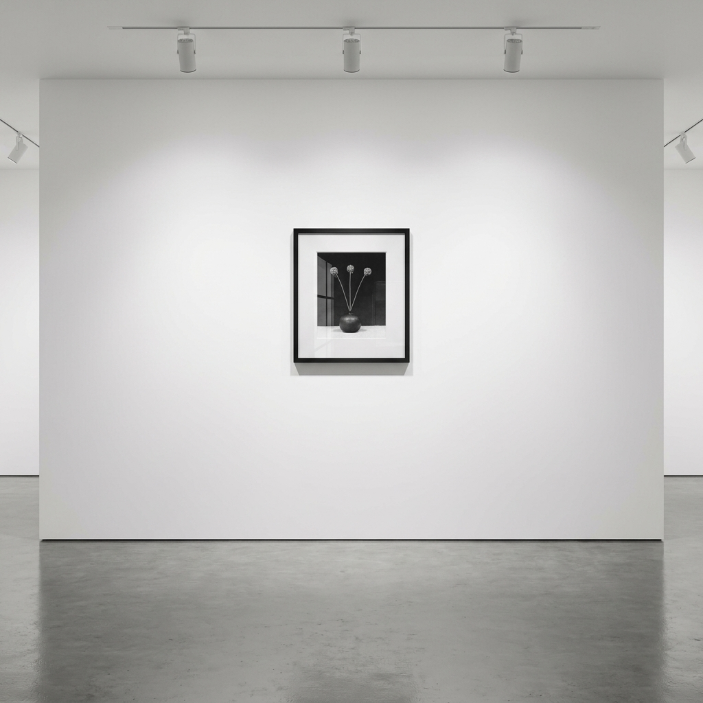 Robert Mapplethorpe — Flower