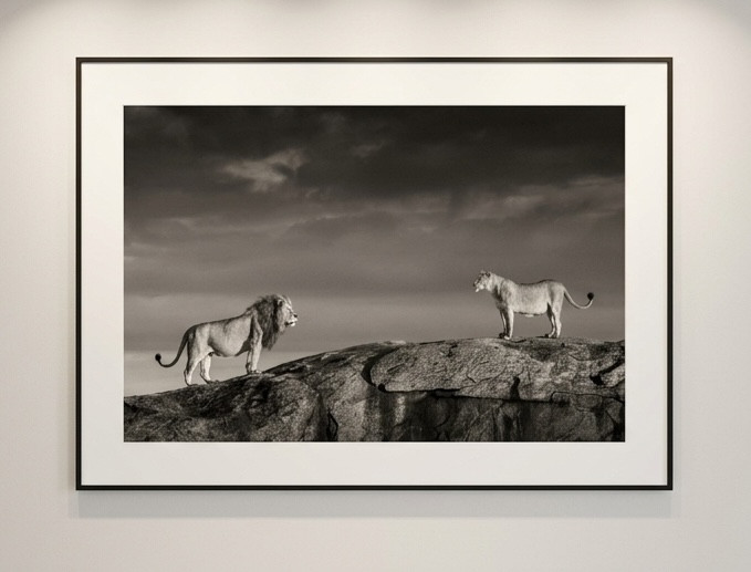 James Lewin - As The Storm Draws Near, 2025, Archival Pigment Print