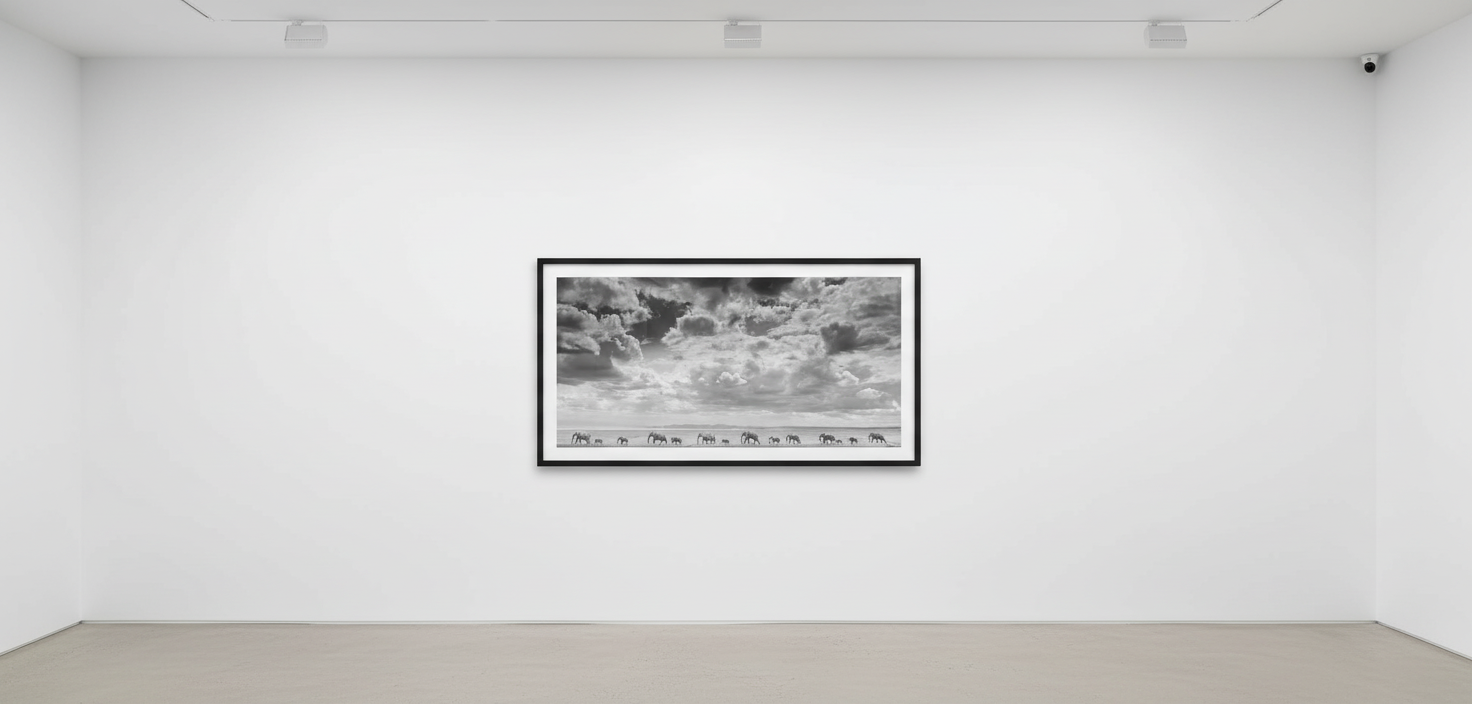 James Lewin - Elephant Train, 2024, Silver gelatin print