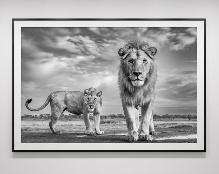 James Lewin - Our Kingdom, 2023, Silver gelatin print