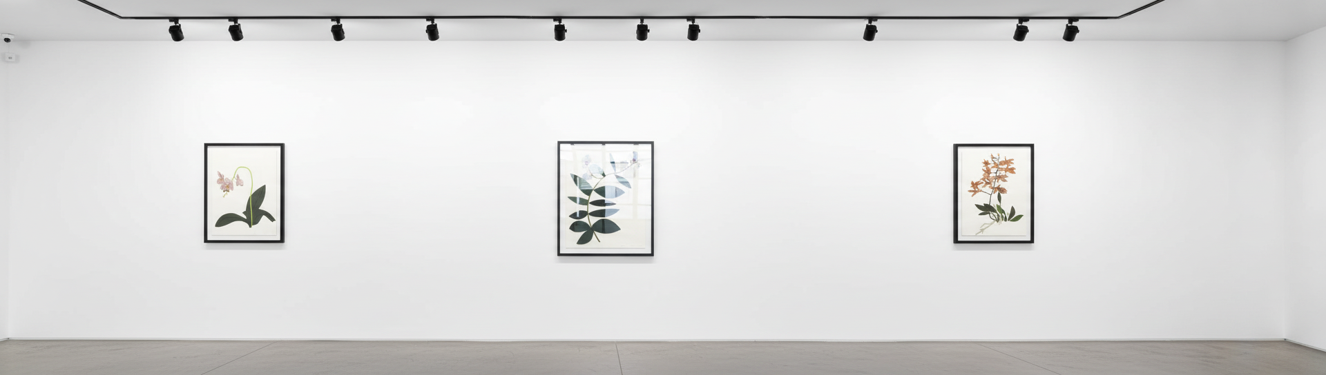 Three Clippings