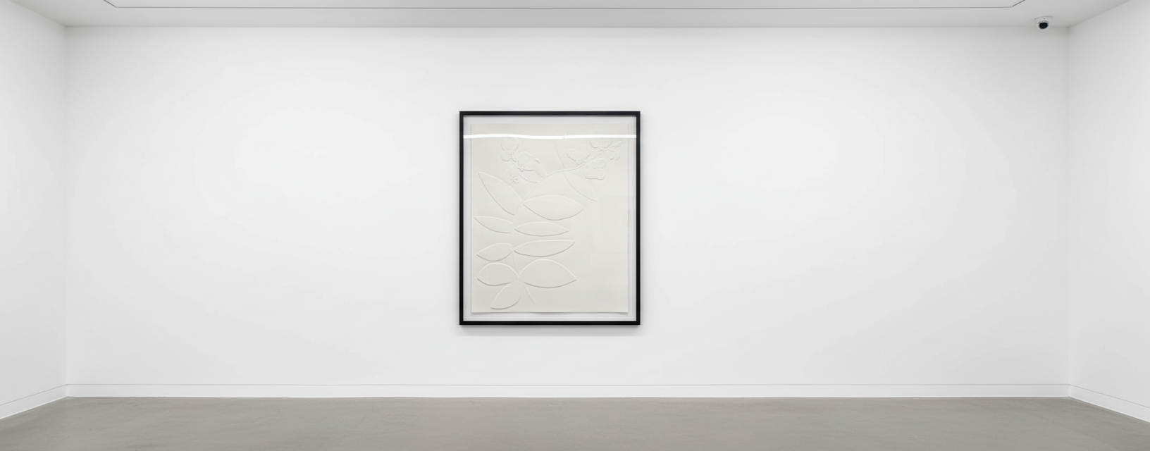 Plants and Clippings — Jonas Wood | Guy Hepner