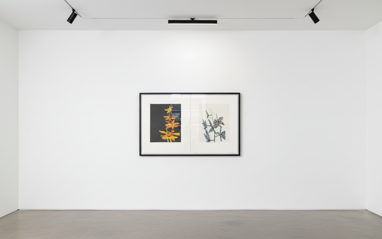 Untitled (Orchid Diptych)
