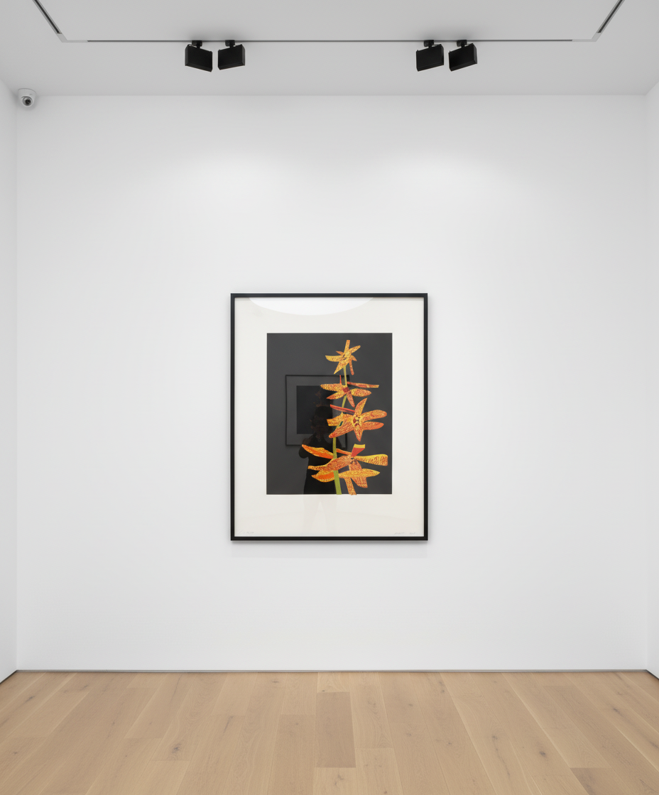 Plants and Clippings