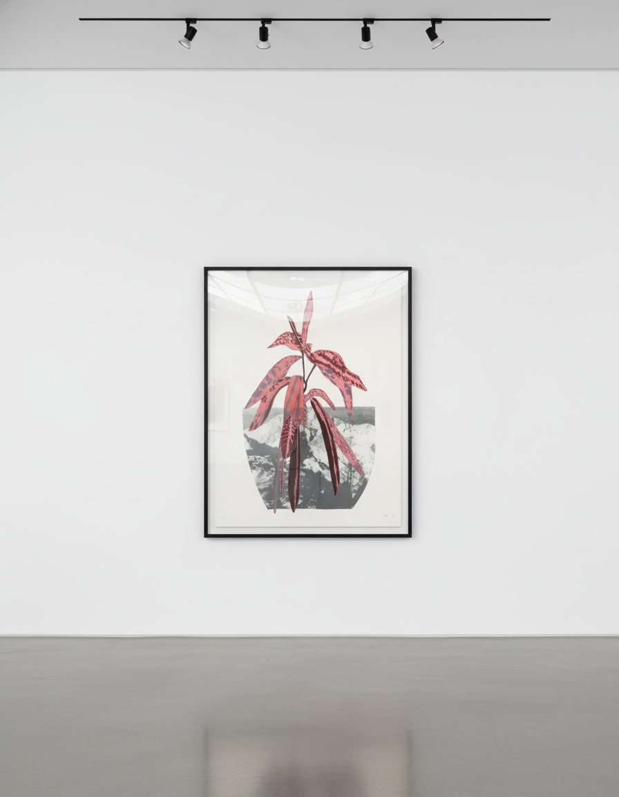 Untitled (pink)