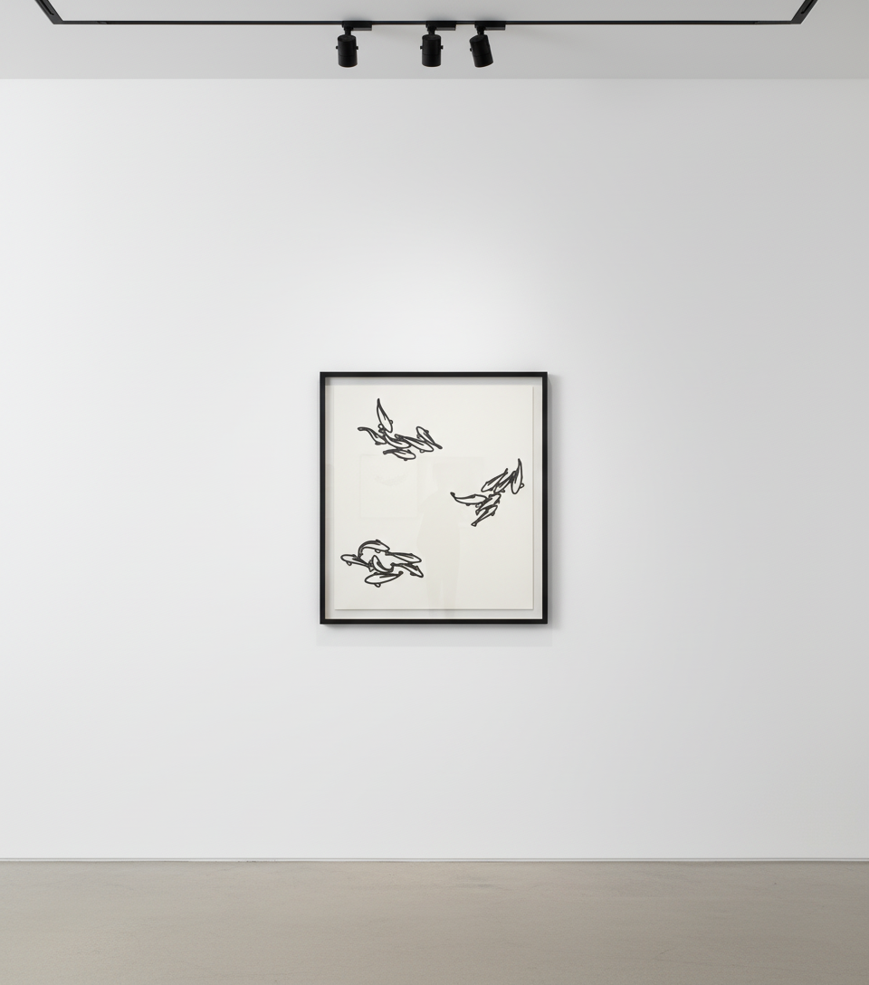 Julian Opie Birds Prints For Sale | Guy Hepner