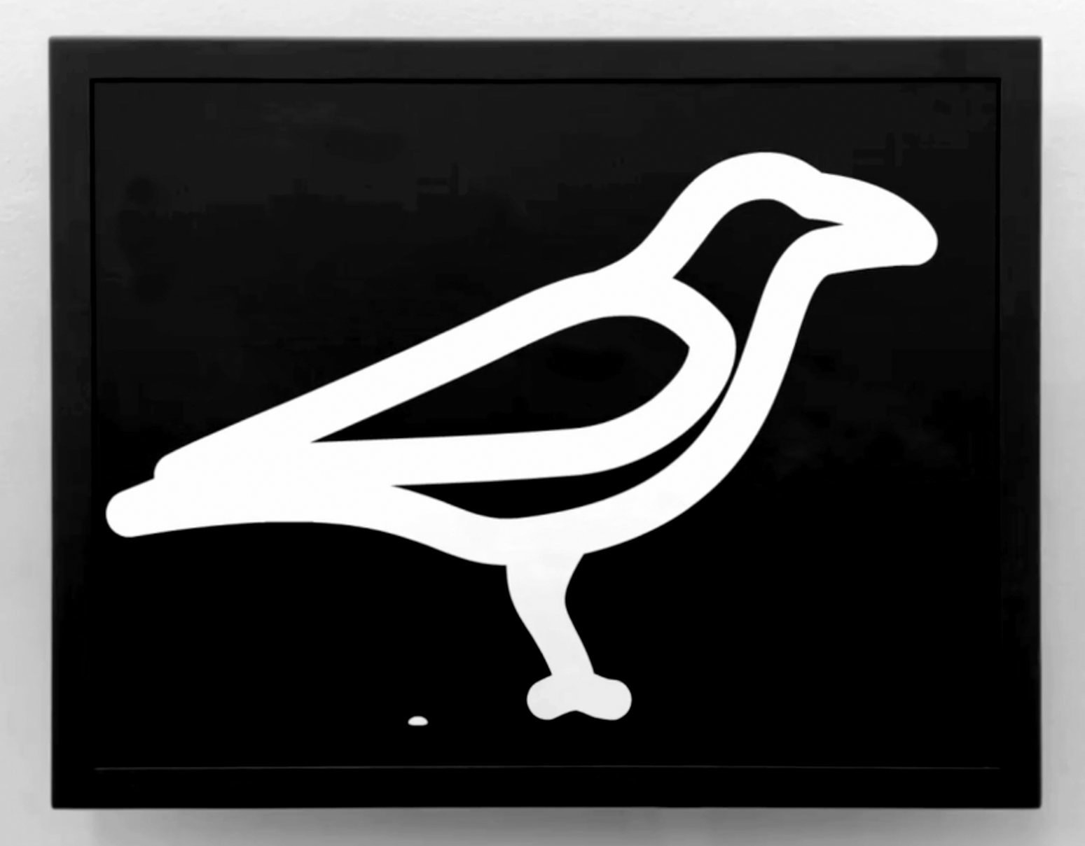 Crow Excreting