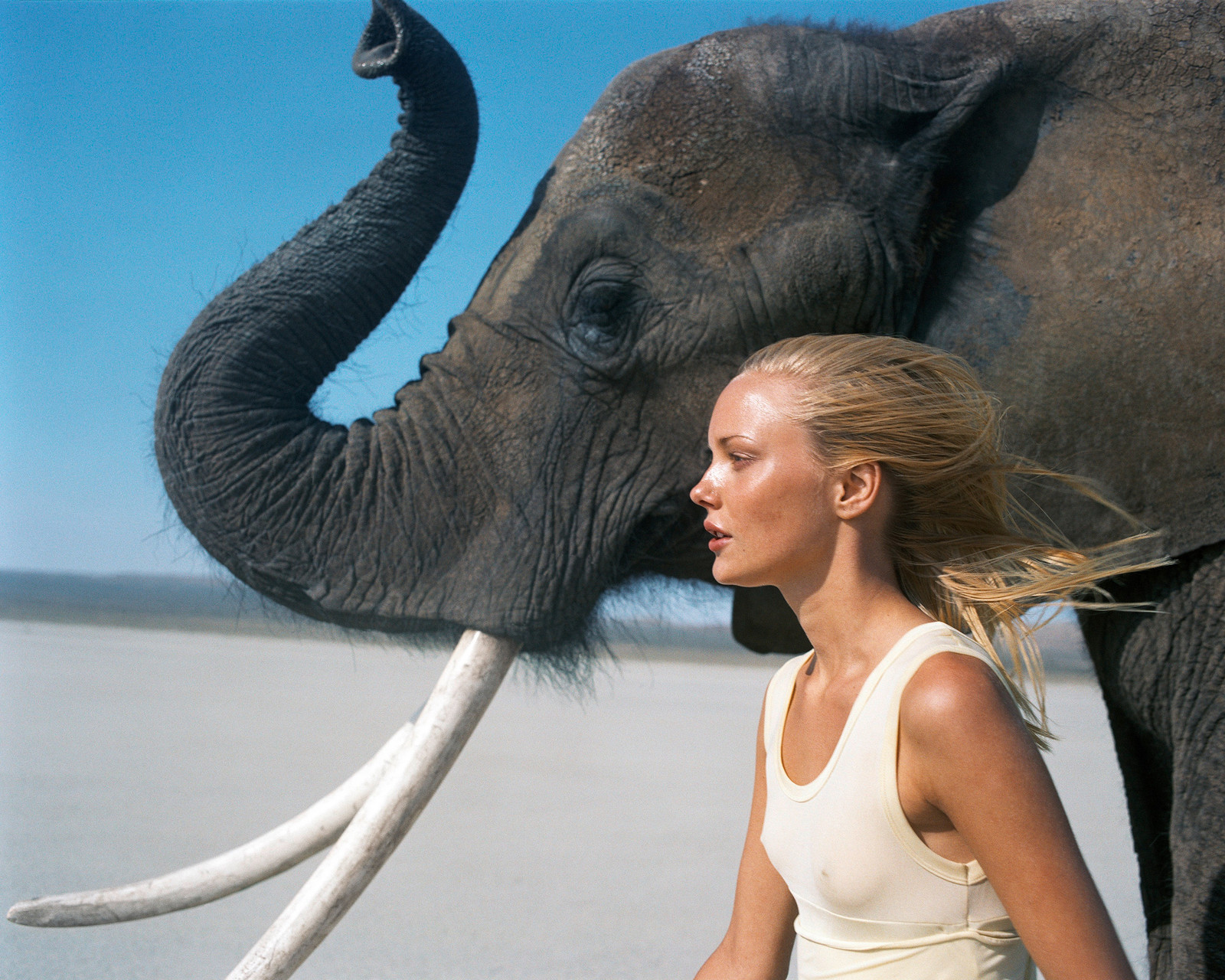 Beauty and the Beast (Elephant)
