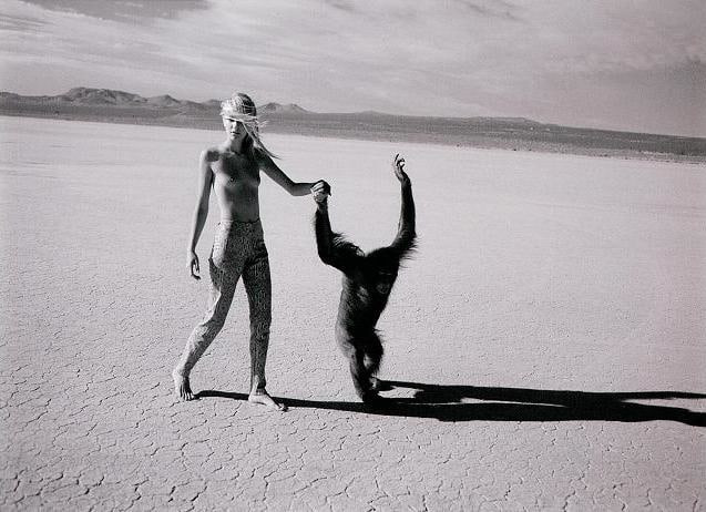 Beauty and the Beast (Monkey IV)