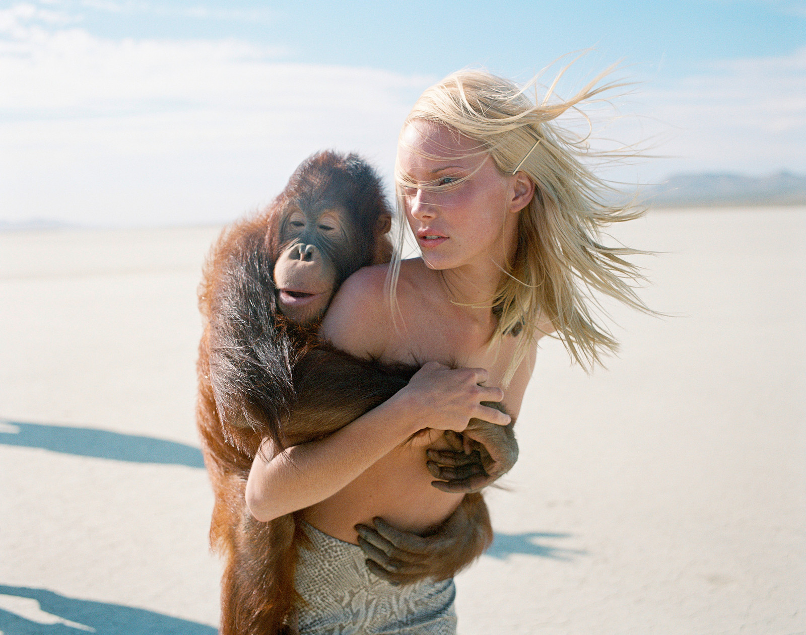 Beauty and the Beast (Orangutan II)