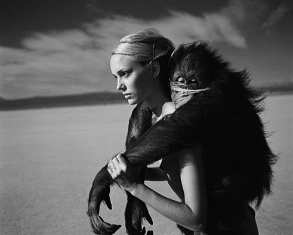 Beauty and the Beast (orangutan)