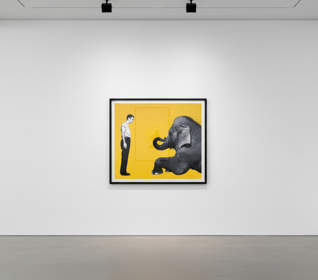 David Bryne, GQ (yellow)