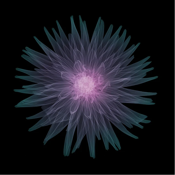 Cactus Dahlia
