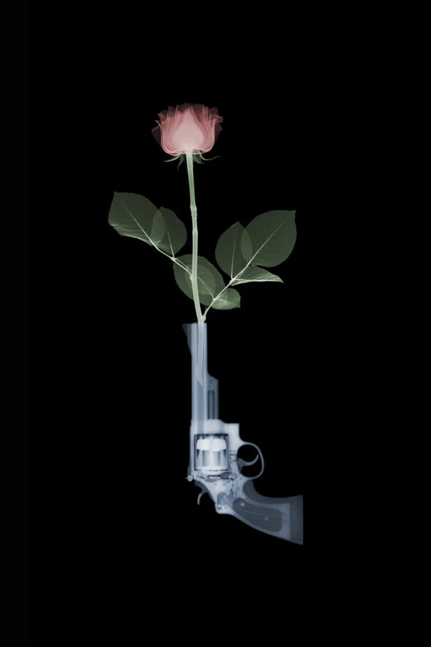 Magnum and Rose