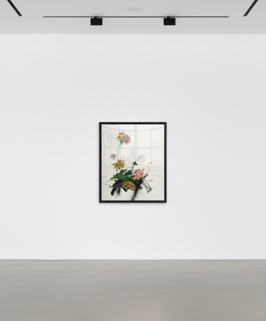 (Bloom) Study I