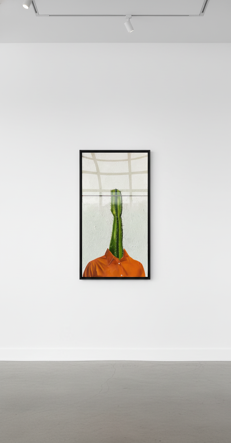 Room to Grow