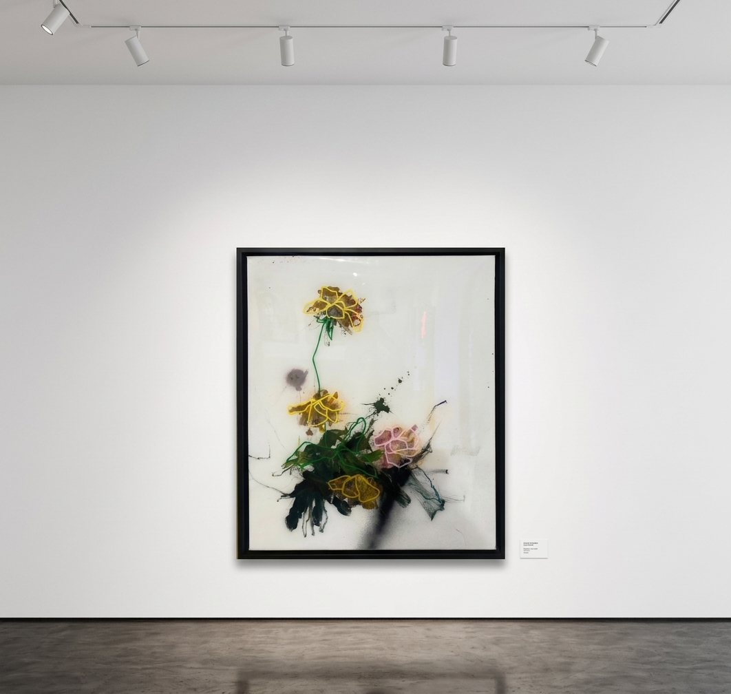Sage Barnes — Study #1