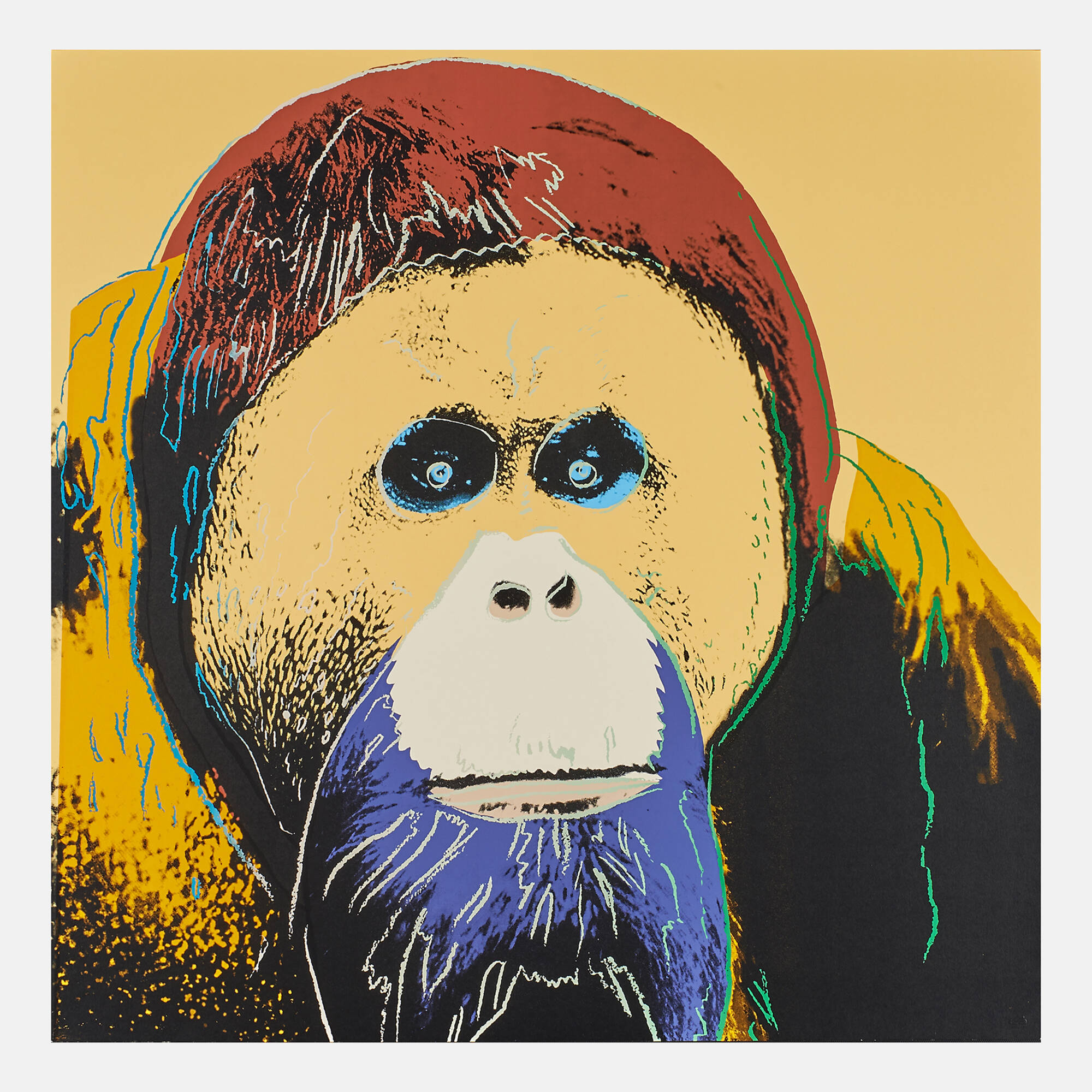 Orangutan F.S. II 299