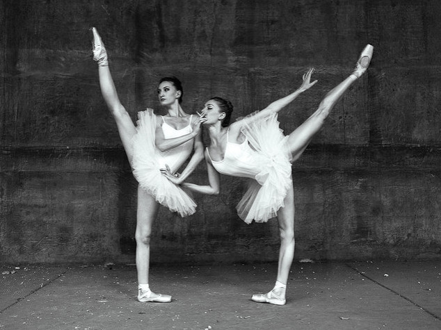 Swans