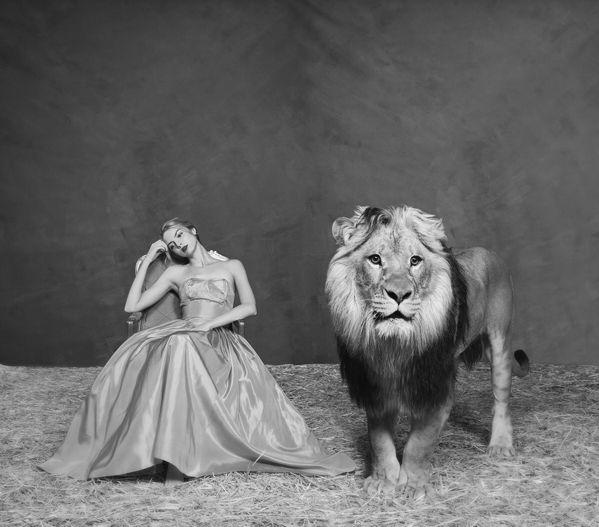 The Lady and The Lion I