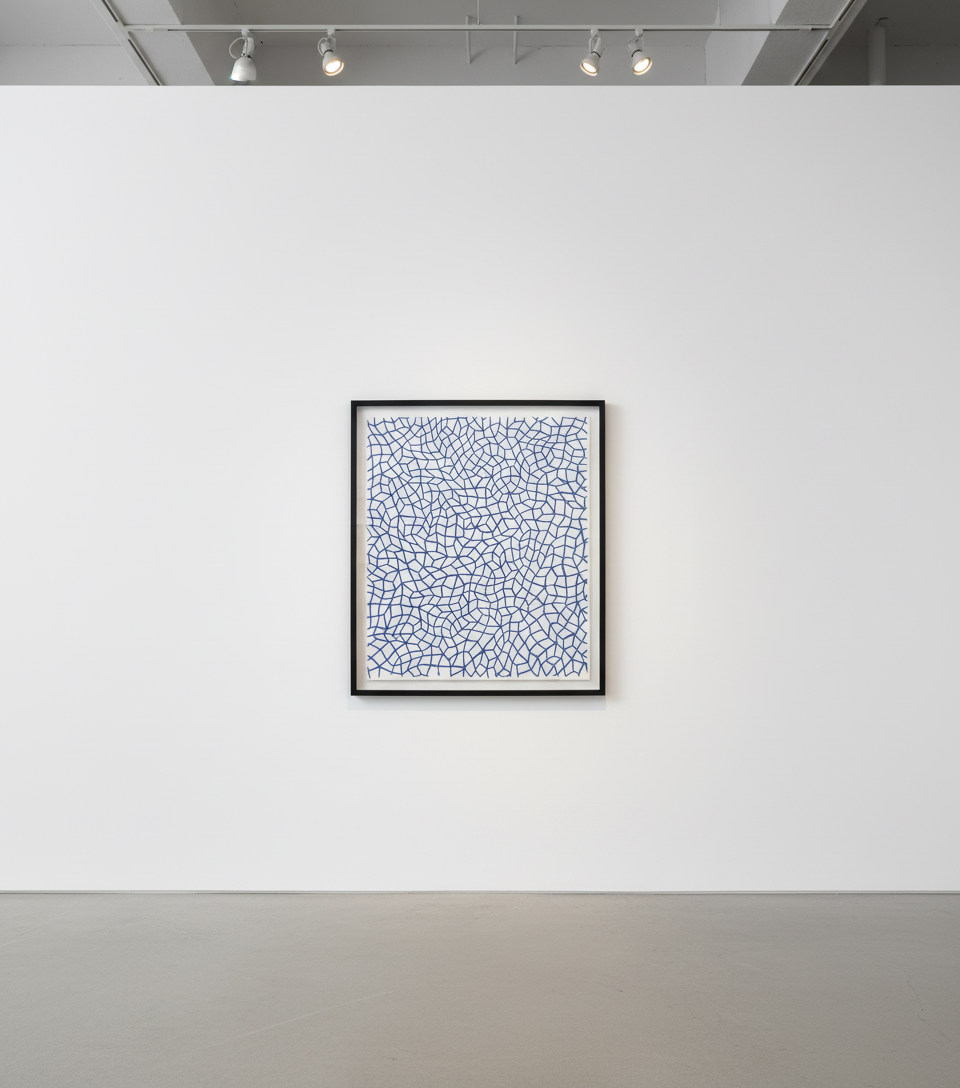 Infinity Nets (26)