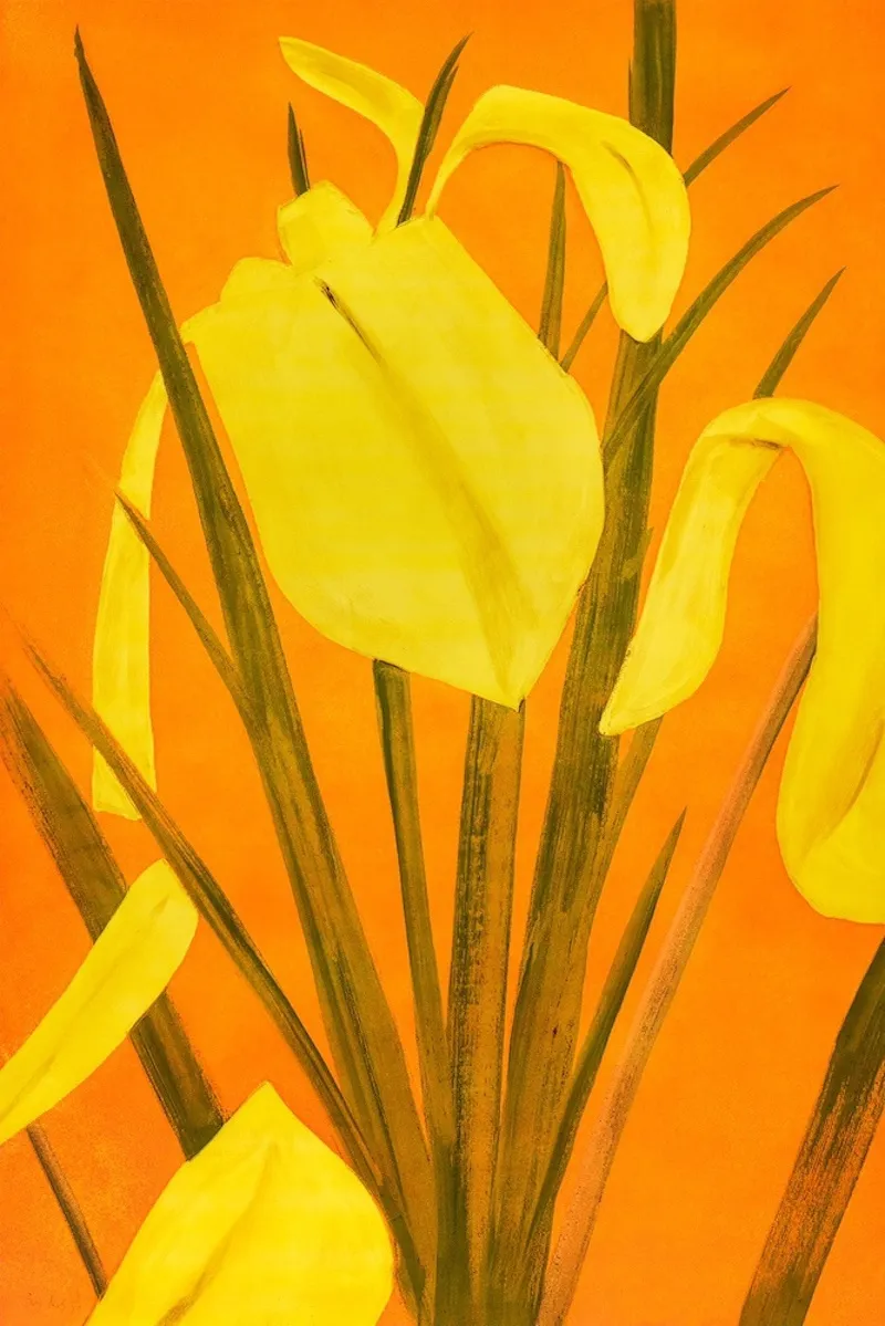 Alex Katz: Exploring the Elegance and Simplicity of his Flower Series