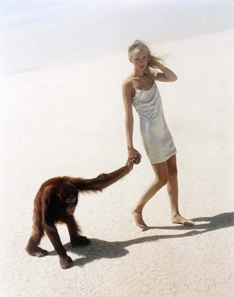 Michel Comte's Beauty and the Beast Series