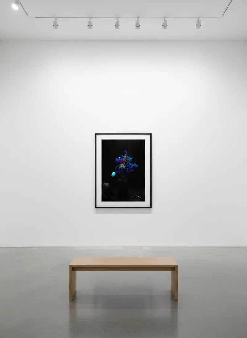 Sebastian Magnani: Coming Home