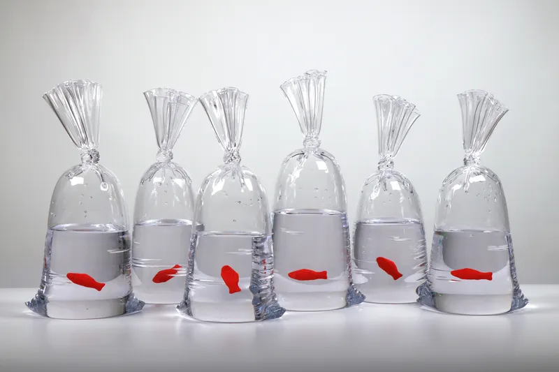 Introducing Dylan Martinez's Newest Series