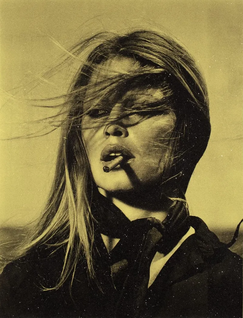 Russell Young's Glittering Icons